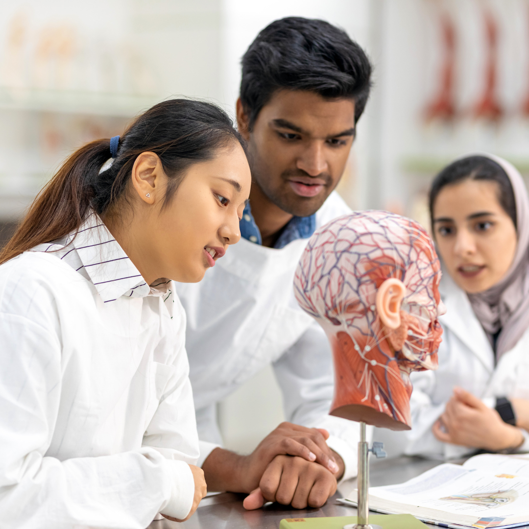 Photo of 3 people in lab coats looking at a human brain